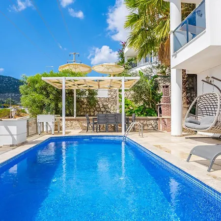 Palm Kalkan * カシュ