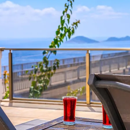 Palm Kalkan カシュ